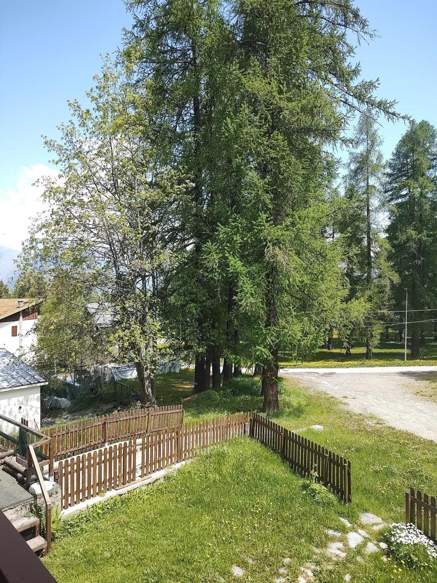 Montagna Che Passione Apartment Chiomonte Exterior photo